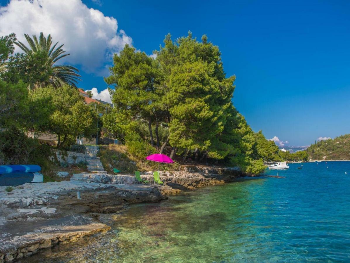 Apartments Villa Diha Korčula Extérieur photo